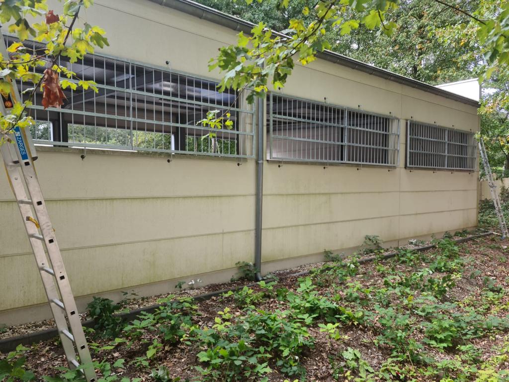 D1f44907 Ecaf 48ca A549 8f4baaaf0573