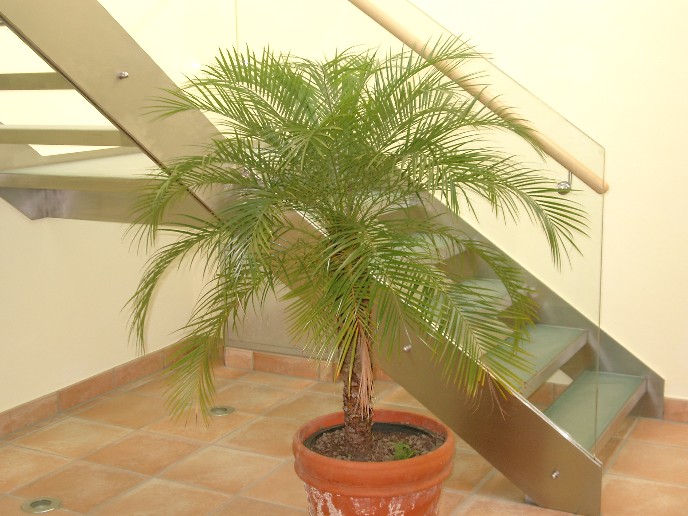 Treppen 40 20160720 1061263778