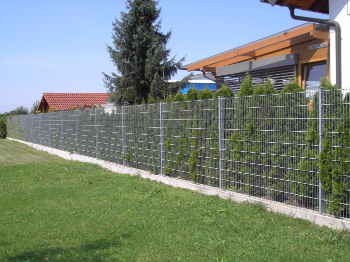 Zaun 3 20150512 2083222699